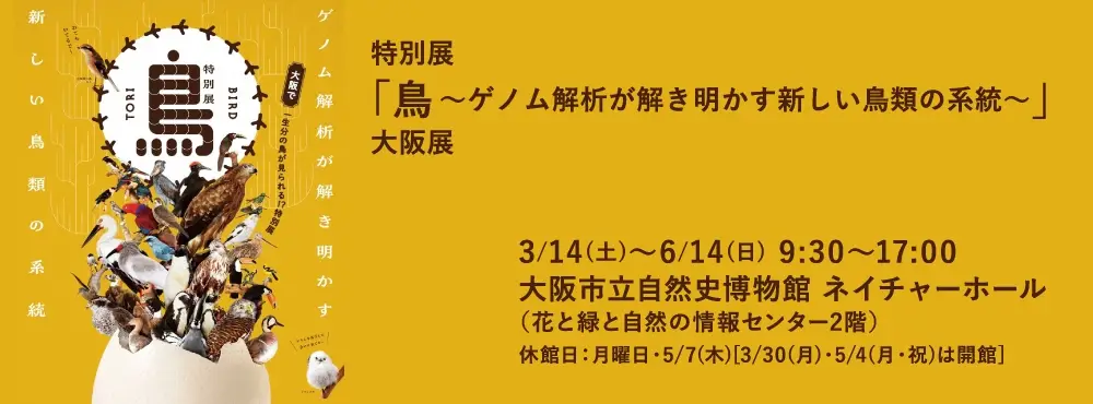 特別展「⿃〜ゲノム解析が解き明かす新しい⿃類の系統〜」⼤阪展